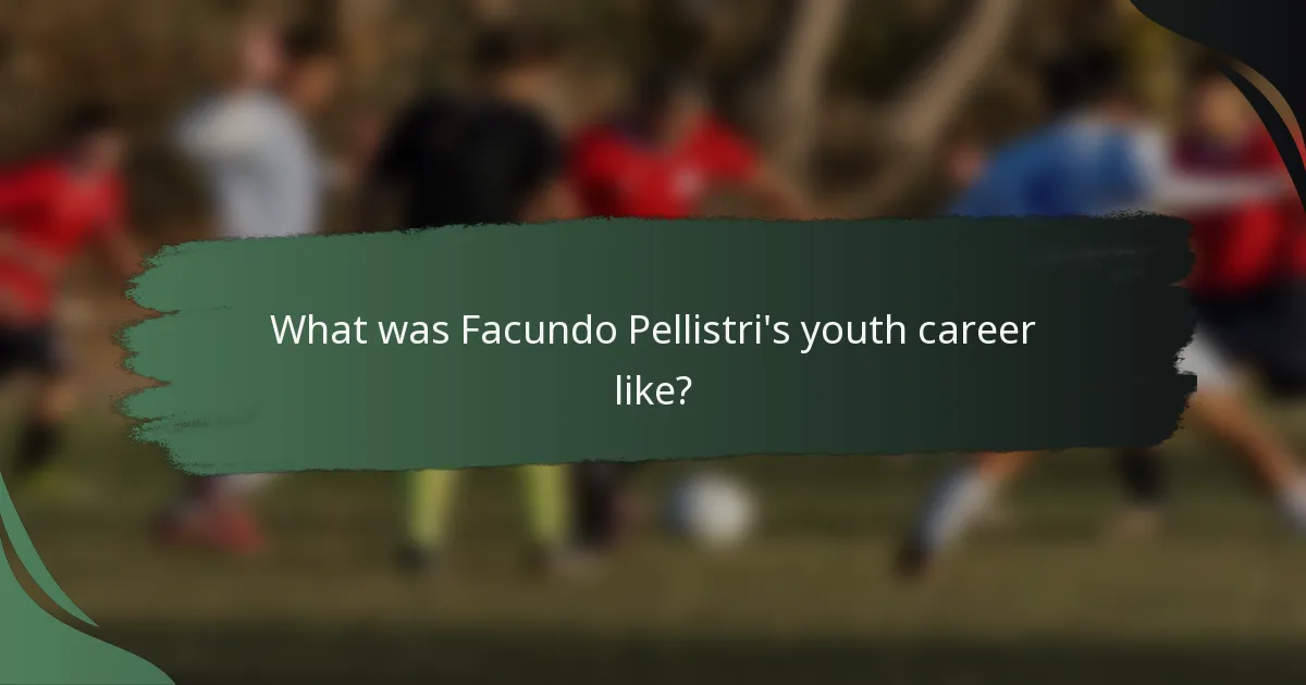 What was Facundo Pellistri's youth career like?